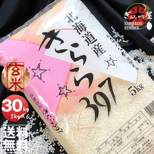 令和元年産 北海道産 きらら397 玄米 30kg (5kg×6袋セット) 【送料無料】【北海道米 送料込み 米 お米 真空パック選択可】