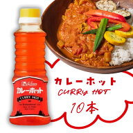 【10本セット送料無料】ハウス カレーホット 270g×10本※北海道・九州・沖縄県は送料無料対象外CURRY HO…