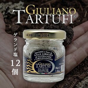 y12ZbgzWA[m gtT}[gtQh30g×12Zbgꌧ͑ΏۊOrlHiGIULIANO TARTUFI gt[T441.1614.SE]