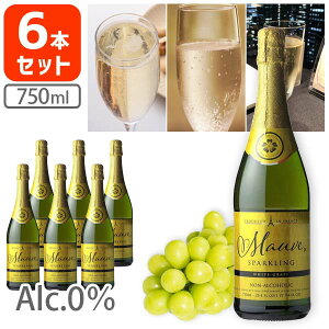 y6{Zbgz [EXp[NO zCgO[v 750ml×6{ ꌧ͑ΏۊO A mAC mAR[Vp p[eB[hN Y_[T.1684.1.