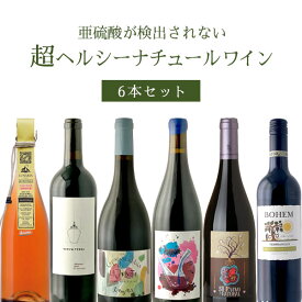 【300円OFFクーポン対象】【6本セット送料無料】亜硫酸が検出されない超ヘルシーナチュールワイン6本セット750ml×6本＜ワインセット＞※沖縄県は送料無料対象外辛口ワイン 自然派ワイン [T.6797.0.SE]