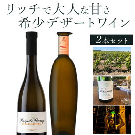 【2本セット送料無料】リッチで大人な甘さの希少デザートワイン2本セット500ml×2本＜ワインセット＞※沖縄県は送料無料対象外白ワイン スペインワイン 18340 28029[T.4035.0.SE]
