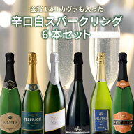 【6本セット送料無料】ダブルゴールド1本！カヴァも入った辛口白スパークリングワイン6本セット※沖縄県…