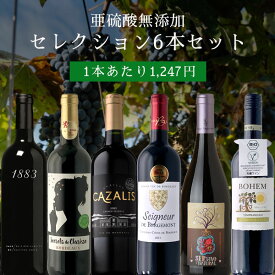 【6本セット送料無料】亜硫酸無添加セレクション750ml×6本＜ワインセット＞※沖縄県は送料無料対象外 赤ワイン 辛口ワイン 自然派ワイン ナチュール [S.5529.0.SE]