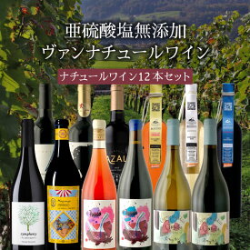 【12本セット送料無料】亜硫酸塩無添加ヴァンナチュールワイン 12本セット750ml×12本＜ワインセット＞ 辛口ワイン 自然派ワイン[T.10774.0.SE]