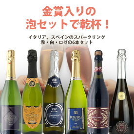 【6本セット送料無料】金賞入りの泡セットで乾杯！イタリア、スペインのスパークリング 赤・白・ロゼの色とりどり6本セット＜ワインセット＞※沖縄県は送料無料対象外スパークリングワイン 金賞ワイン デイリー[T.3920.SE]