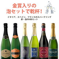 【6本セット送料無料】金賞入りの泡セットで乾杯！イタリア、スペインのスパークリング 赤・白の色とりど…