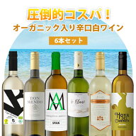 【700円OFFクーポン対象】【6本セット送料無料】圧倒的コスパ！ オーガニック金賞ワイン入り辛口白ワイン…
