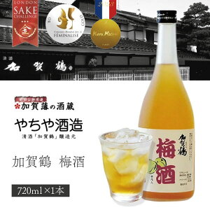 yz₿ ߔ~ 720ml×1{kCEBEꌧ͑ΏۊO~  [T.2412.SE]