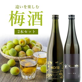 【2本セット送料無料】違いを楽しむ梅酒セットエリオン梅酒 720ml×1本、n.e.o ジンジャー梅酒 720ml×1本※北海道・九州・沖縄県は送料無料対象外＜瓶リキュール＞ネオジンジャー梅酒 梅酒 ジンジャー 生姜 ネクター 甘口 辛口 [T.3237.10.SE]