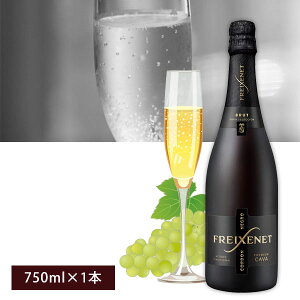 yz tVl Rh lO 750ml×1{ kCEBEꌧ͑ΏۊO hC Xp[NOC [T.2074.0.SE]