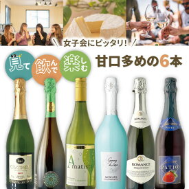 【4月おまけ企画】【6本セット送料無料】女子会にピッタリ！見て飲んで楽しめる甘口多めの6本セット＜ワインセット＞※沖縄県は送料無料対象外飲み比べセット[T.4940.0.SE]