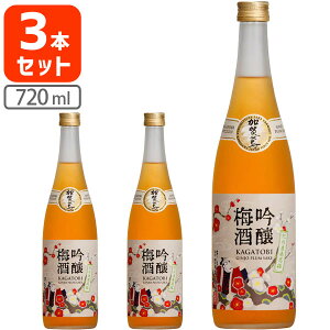 y3{Zbgz ~ 720ml×3{ ꌧ͑ΏۊO[S.2344.0.SE]