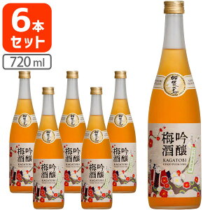 y6{Zbgz ~ 720ml×6{ ꌧ͑ΏۊO[S.2344.0.SE]