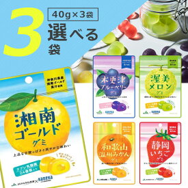 【メール便で送料無料(2cm)】 【選べる3袋セット】カネカ食品 グミ ラブレ乳酸菌入り全8種類 いずれか 40g×3袋 ＜お菓子＞ ※メール便配送ご当地 グミ JA 共同開発[T.1322.2.SE]