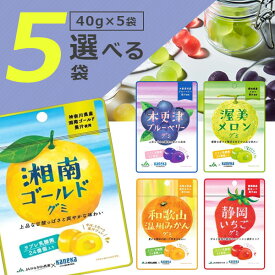 【メール便で送料無料(3cm)】 【選べる5袋セット】カネカ食品 グミ ラブレ乳酸菌入り全8種類 いずれか 40g×5袋 ＜お菓子＞ ※メール便配送ご当地 グミ JA 共同開発[T.1322.2.SE]