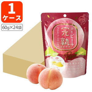 y1P[X(24)zhEVV ns[`45g×24[1P[X]ꌧ͑ΏۊOَq  hCt[c  [T.1464.-.SE]