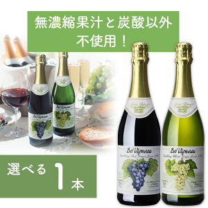 yܖ2025N1213zyIׂ1{z xrj[ Xp[NO CW[X bh/zCg 750ml×1{ kCEBEꌧ͑ΏۊO mAC mA