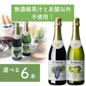 yܖ2025N1213zyIׂ6{z xrj[ Xp[NO CW[X bh/zCg 750ml×6{ kCEBEꌧ͑ΏۊO mAC mA