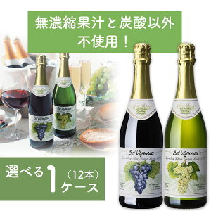 yܖ2025N1213zyIׂ1P[Xi12{jz xrj[ Xp[NO CW[X bh/zCg 750ml×12{ [1P[X]ꌧ͑ΏۊO mAC 