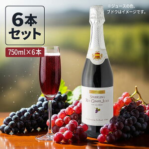 y6{ZbgzXp[NObhO[vW[X 750m×6{ kCEBEꌧ͑ΏۊO O[vW[X [T.1592.5.SE]