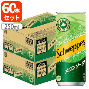 y2P[X(60{)z RJER[ VEFbvX \[_ 250ml×60{ [2P[X]ꌧ͑ΏۊO Y_ ʈ \[_ kC xǖ [T050.2674.1.SE]