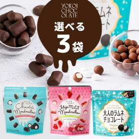 横井チョコレート 選べるマシュマロ・チョコ 3袋セット