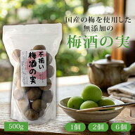【送料無料】不揃い梅酒の実 500g（1個、2個、6個）＜食品＞※北海道・九州・沖縄は送料無料対象外梅の実…