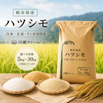 楽天市場】岐阜県 ハツシモ 30kgの通販