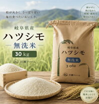 楽天市場】岐阜県 ハツシモ 30kgの通販