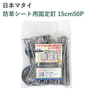 {}^C hV[gpŒB 15cm50P | hV[g ŒB 50P ȒP h V[g B  Œ 