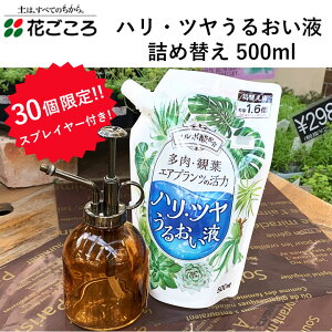 30 KXXvC[t Ԃ nEc邨t lߑւ 500ml lւ  KXXvC[ ܂  uE CG[ 엿 t GAvc A ϗtA