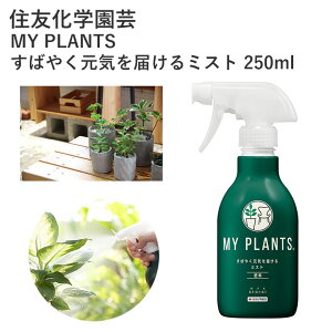 ZFw| MY PLANTS ΂₭C͂~Xg 250ml 엿 ǔ ~Xg tʎUz A yǍ | |pi _Ǝ _Ɨpi ϗtA   t Xv[