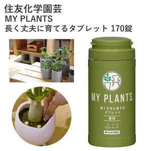 ZFw| MY PLANTS vɈĂ^ubg 170 엿 ǔ Ɍ엿  u ȒP A L  | |pi _Ǝ _Ɨpi ϗtA   Ō`  ^ubg