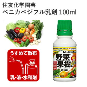 ZFw| xjJxWt 100ml E   Qގ ʎ _ | |pi _Ǝ _Ɨpi    Q gEV
