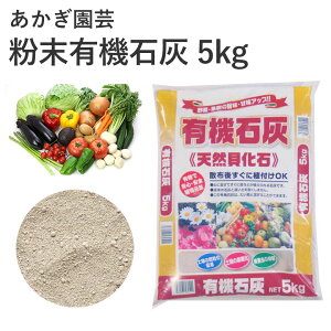 | L@ΊD 5kg 엿 ΊD JLk SS | K[fjO |pi _Ǝ _Ɨpi ƒ؉ K[fjOpi K[f  Ԓd  