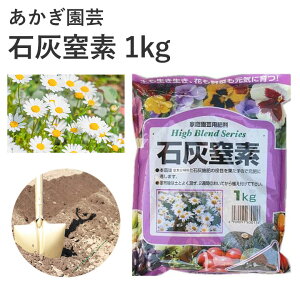 | ΊDf 1kg 엿 ƒ뉀|엿  | K[fjO |pi _Ǝ _Ɨpi ƒ؉ K[fjOpi K[f  Ԓd 