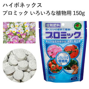 nC|lbNX v~bN 낢ȐAp 150g 엿 ^ubg ȒP  2 u  | K[fjO AC  |pi _Ǝ _Ɨpi ƒ؉ K[fjO