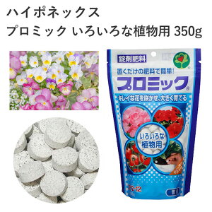 nC|lbNX v~bN 낢ȐAp 350g 엿 ^ubg ȒP  2 u  | K[fjO AC  |pi _Ǝ _Ɨpi ƒ؉ K[fjO