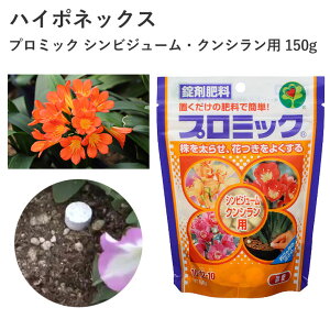 nC|lbNX v~bN VrW[ENVp 150g 엿 ^ubg ȒP  2 ԕtǂȂ u  | K[fjO AC |pi _Ǝ _Ɨpi