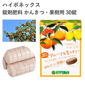 nC|lbNX ܔ엿 񂫂Eʎp 30 엿 u k ʎ ^ubg ȒP  tǂȂ | K[fjO AC |pi _Ǝ _Ɨpi K[fjOpi K[