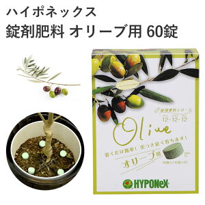 nC|lbNX ܔ엿 I[up 60 엿 u I[u ^ubg ȒP  tǂȂ | K[fjO u AC |pi _Ǝ _Ɨpi K[fjOpi K