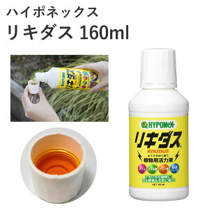 nC|lbNX L_X 160ml A͉t t{_ A~m_ JVER tʎUz ʗvf | K[fjO ߂ĎUz |pi _Ǝ _Ɨpi K[fjOpi g}g K