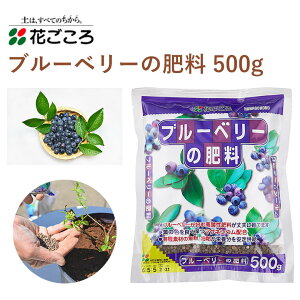 Ԃ u[x[̔엿 500g 엿 u[x[ | Aւ | K[fjO |pi _Ǝ _Ɨpi K[fjOpi u[x[ }OlVE  