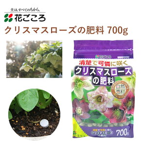 Ԃ NX}X[Y̔엿 700g 엿 NX}X[Y | Aւ K[fjO |pi _Ǝ _Ɨpi K[fjOpi _ 