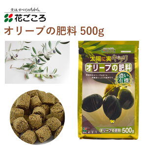 Ԃ I[u̔엿 500g 엿 I[u | Aւ K[fjO |pi _Ǝ _Ɨpi K[fjOpi L@ C Ɍ