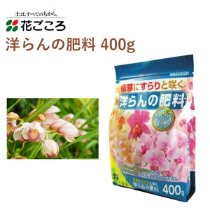 Ԃ m̔엿 400g 엿 m | Aւ K[fjO |pi _Ǝ _Ɨpi K[fjOpi m ԉ _ VrWE