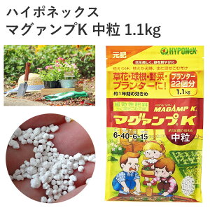 nC|lbNX }O@vK  1.1kg 엿 엿   | K[fjO S҂ɂ K[fjO K[fjOpi K[f   Ԓd A y