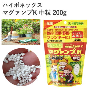 nC|lbNX }O@vK  200g 엿 엿   | K[fjO S҂ɂ K[fjO K[fjOpi K[f   Ԓd A y