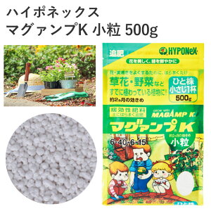 nC|lbNX }O@vK  500g 엿 엿   | K[fjO S҂ɂ K[fjO K[fjOpi K[f   Ԓd A y